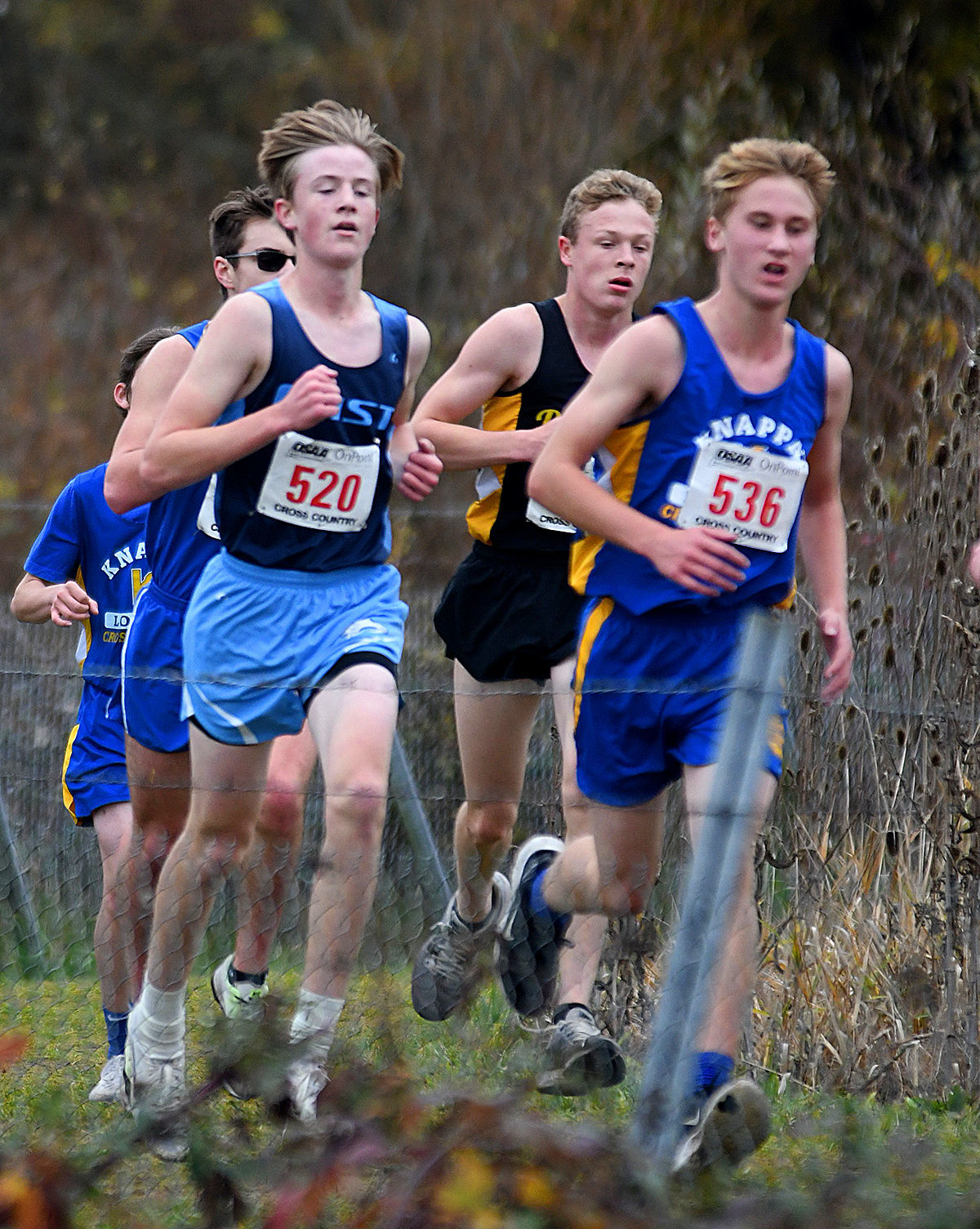 11-10-2019 1A2A Boys Cross Country 10.jpg